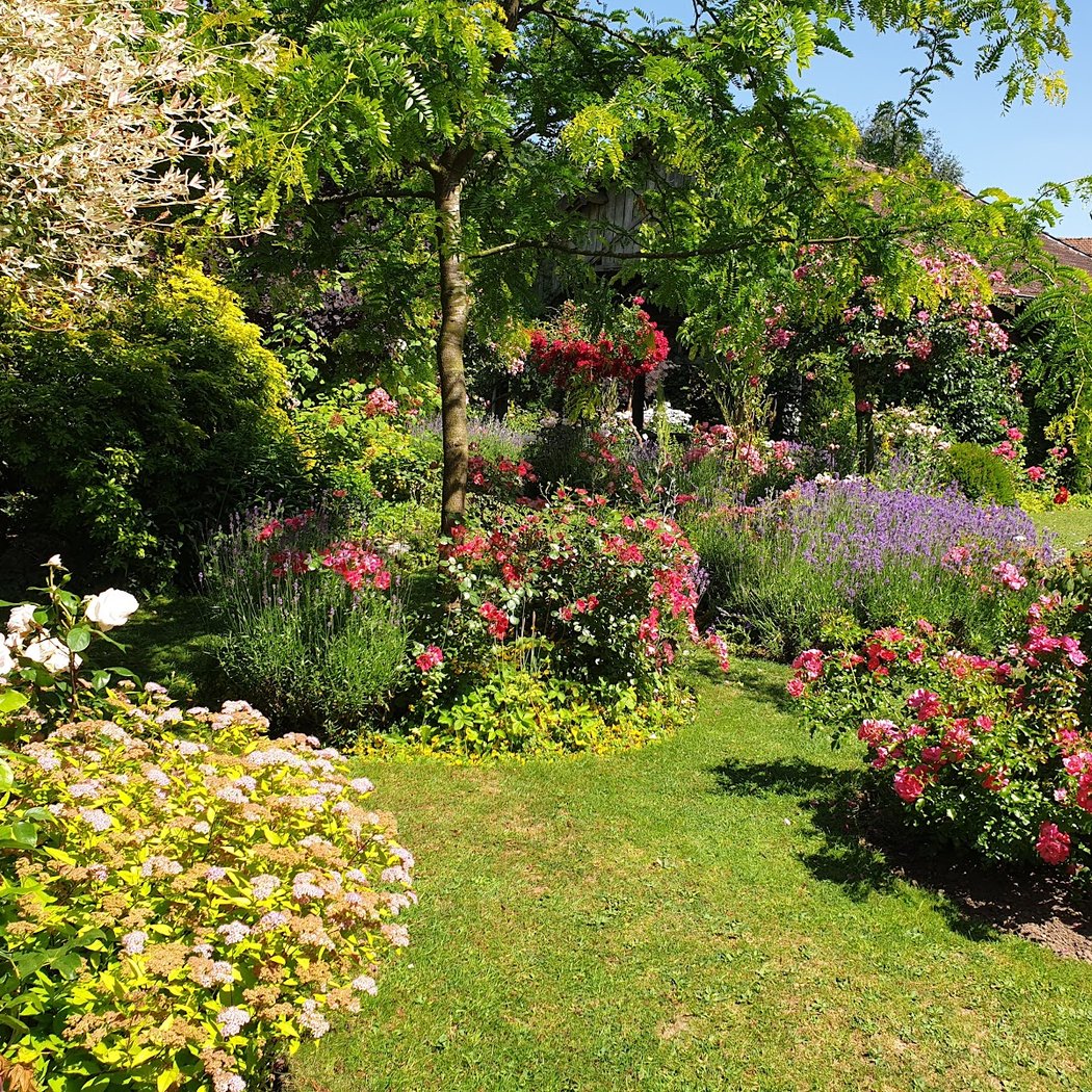 Floral du Château de Digeon Garden 1